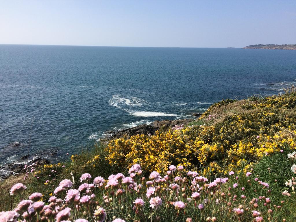 La Belle Relax - Calme Et Tranquillite Assures - 2 Personnes Bed & Breakfast Moëlan-sur-Mer Екстериор снимка
