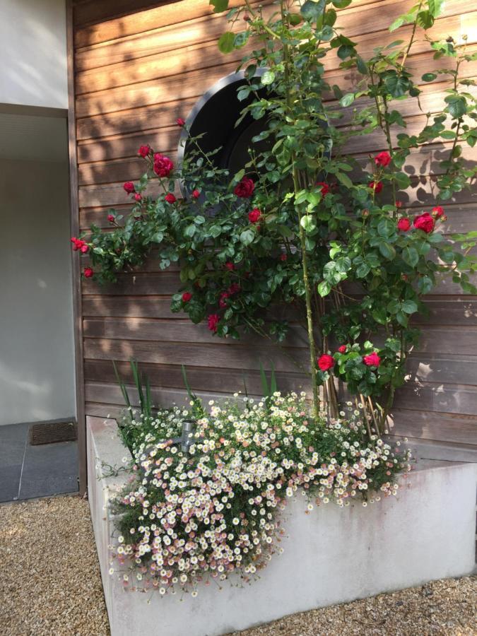 La Belle Relax - Calme Et Tranquillite Assures - 2 Personnes Bed & Breakfast Moëlan-sur-Mer Екстериор снимка